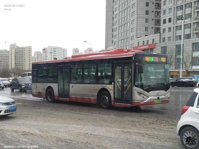 津A 09833D