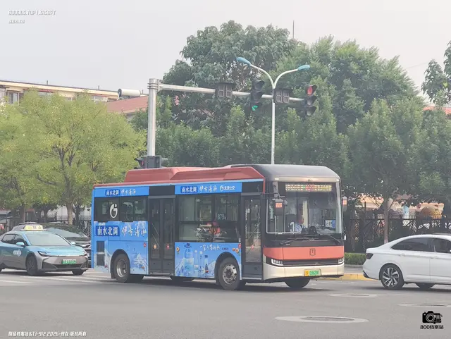 800BUS
