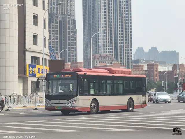 800BUS