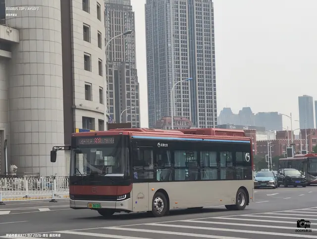 800BUS