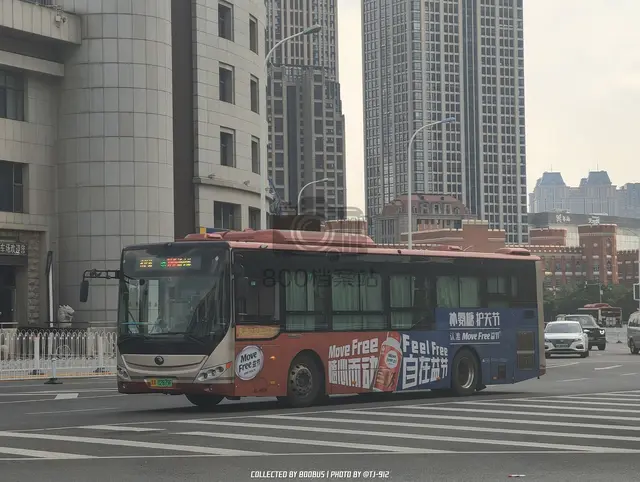 800BUS
