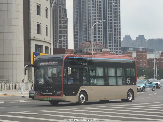 800BUS