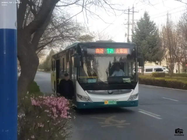 甘H 08889D