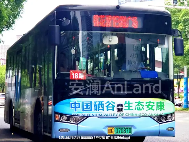 陕G 07087D