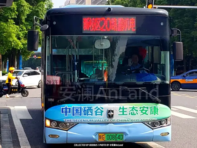 陕G 00864D