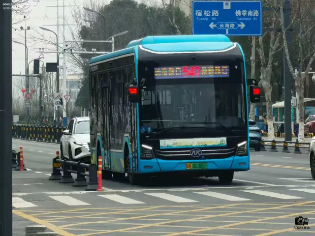 800BUS