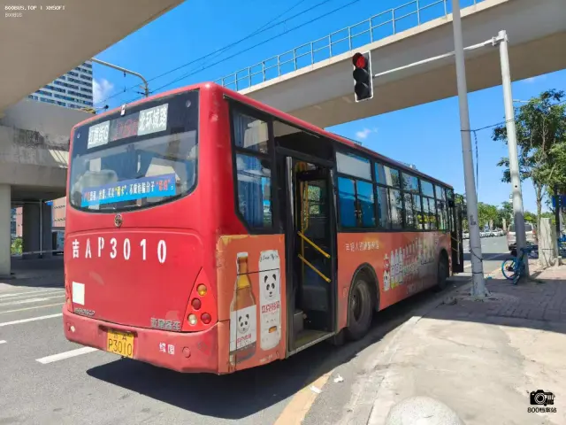 吉A P3010