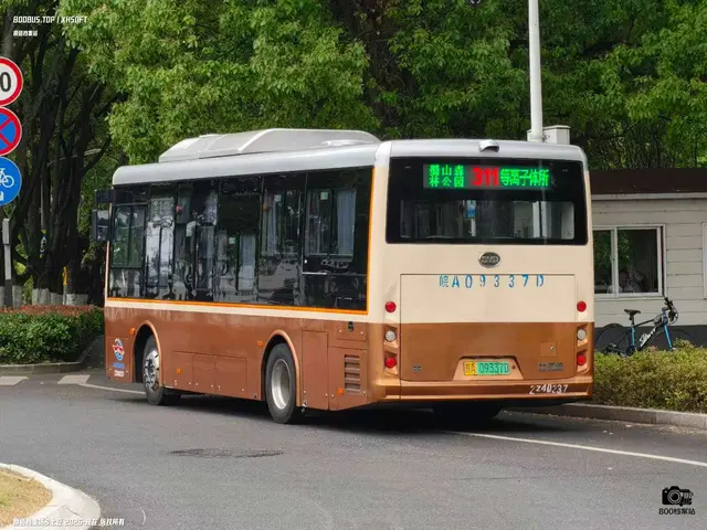 皖A 09337D