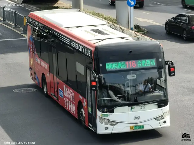 皖A 01000D