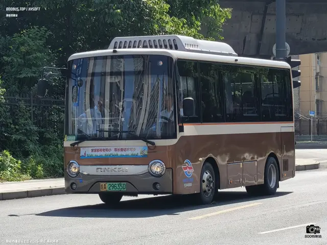 皖A 29635D