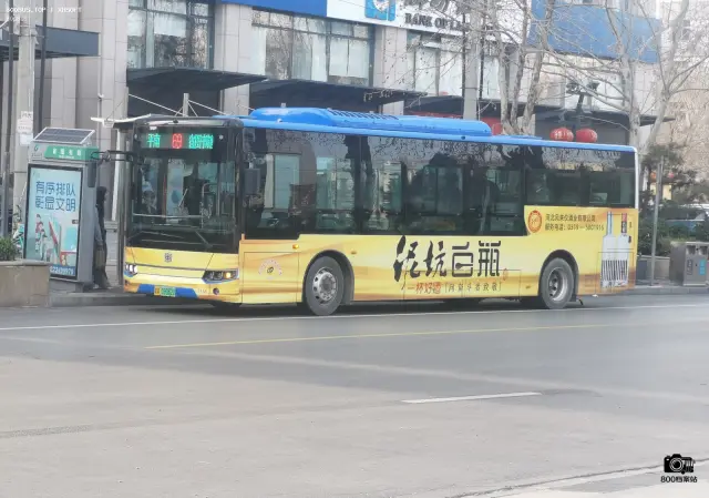 冀A 09062D