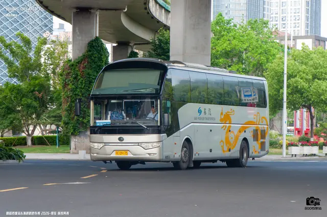 苏E D9175