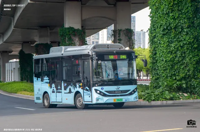 苏E 33620D