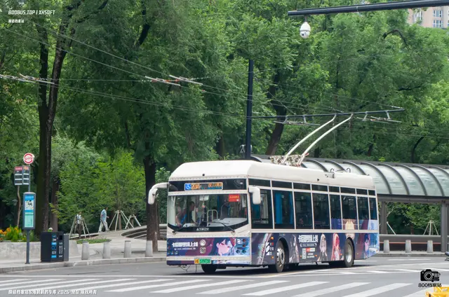 沪A 57973D