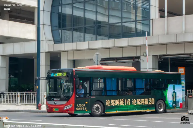 苏F 01969D