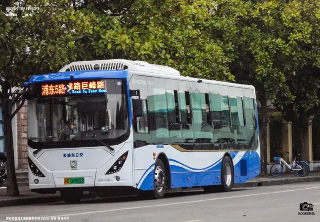沪A 04902D