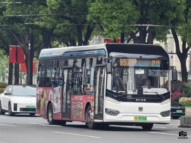 沪A 99723D