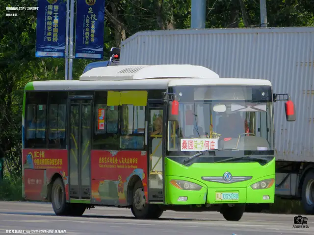 冀J 06519D