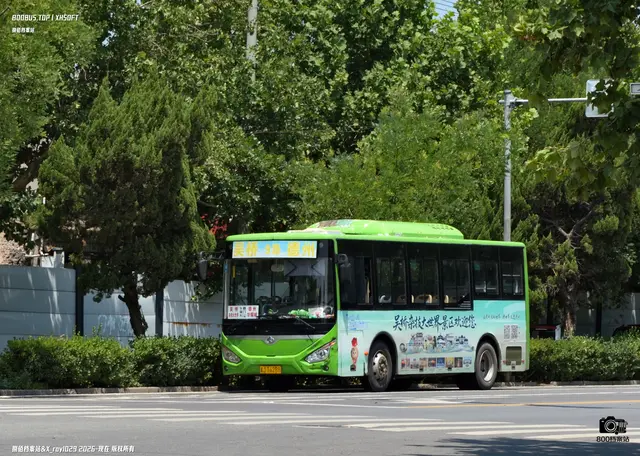 800BUS