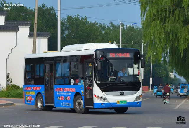 鲁N 06639D