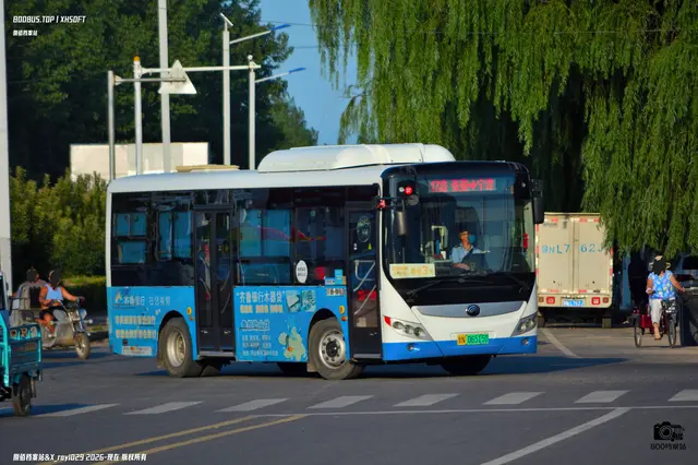 鲁N 06515D