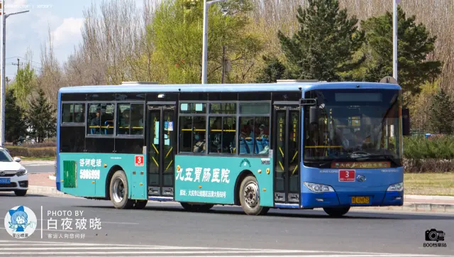800BUS