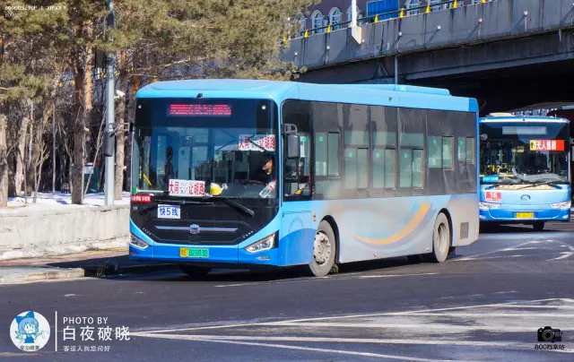 800BUS