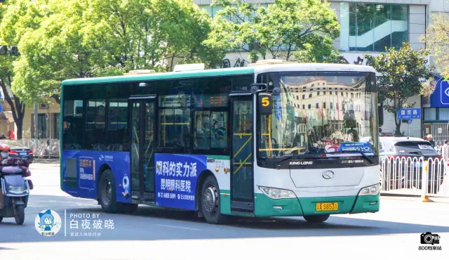 800BUS