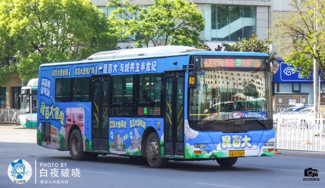 800BUS