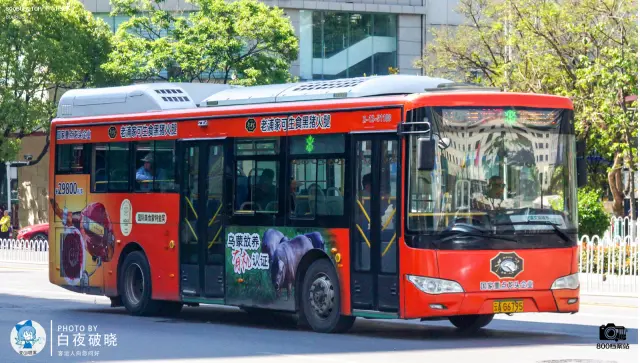 800BUS
