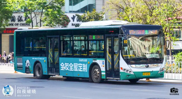 800BUS