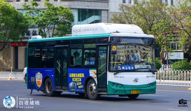 800BUS