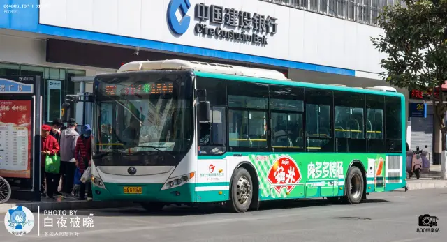 800BUS
