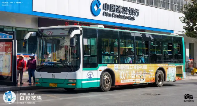 800BUS