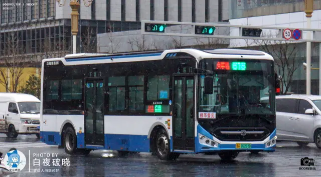 800BUS
