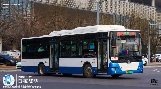 800BUS