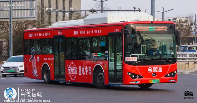 800BUS