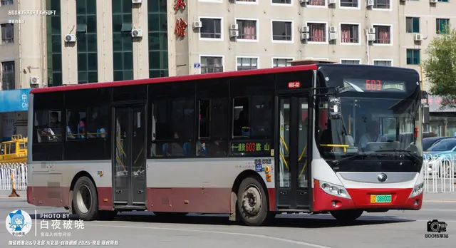 辽D 08600D