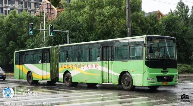 辽D 0806A