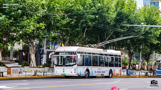沪A 56713D