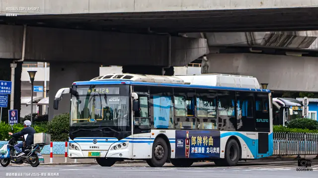 沪A 06068F