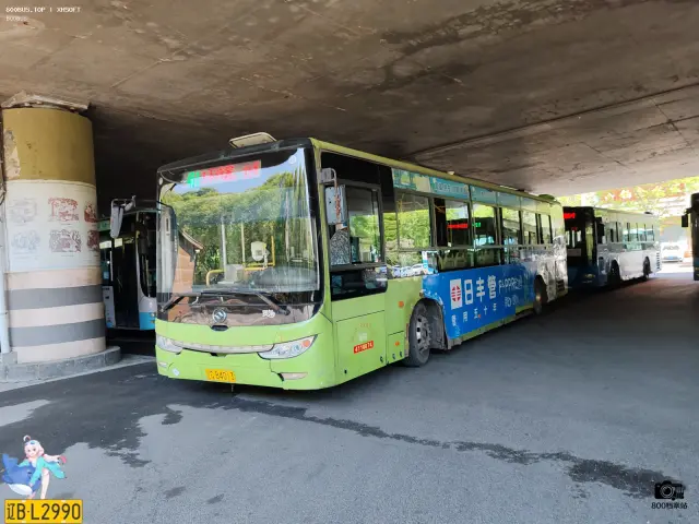 800BUS