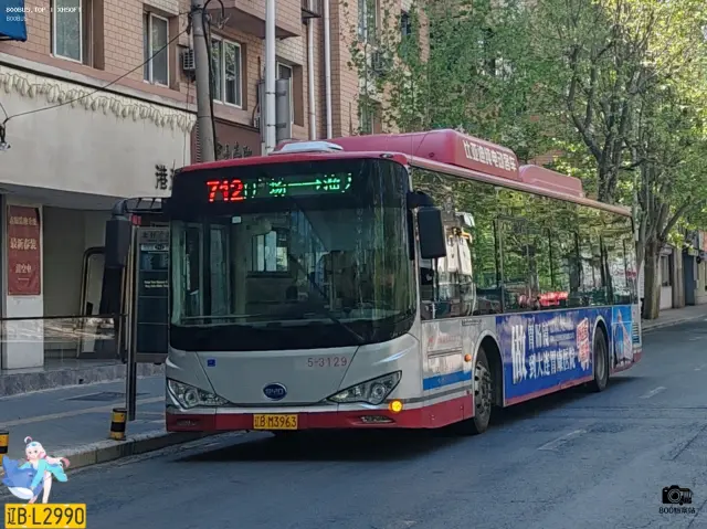 800BUS