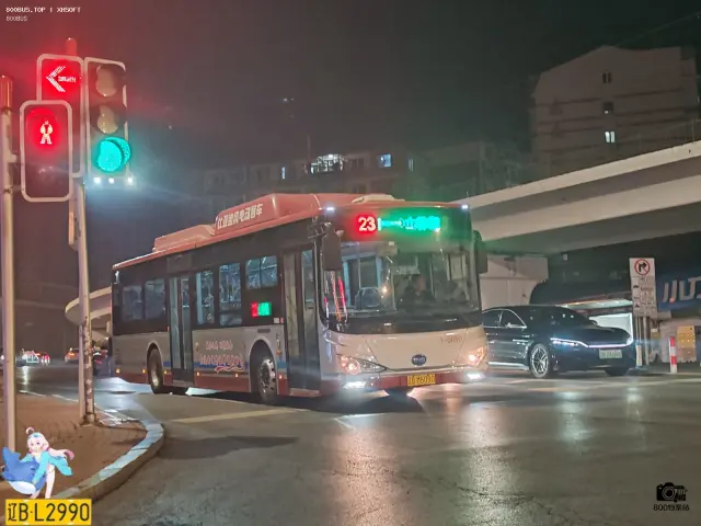 800BUS