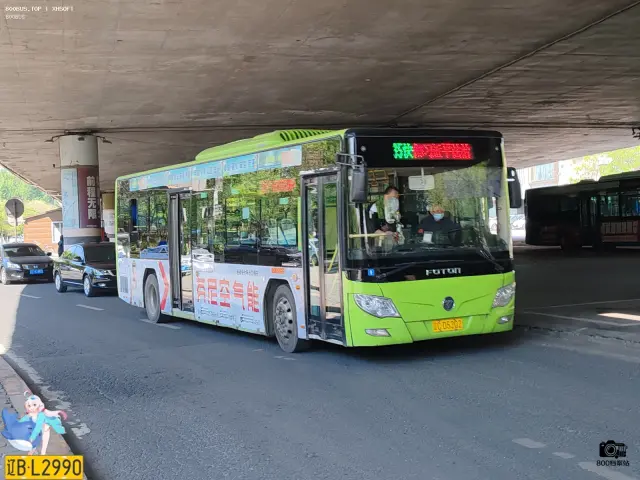 辽C D5202