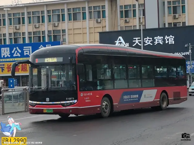 辽B 03925D