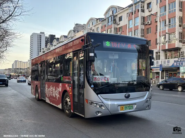 辽B 09702D