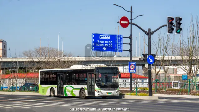 沪A 33529D