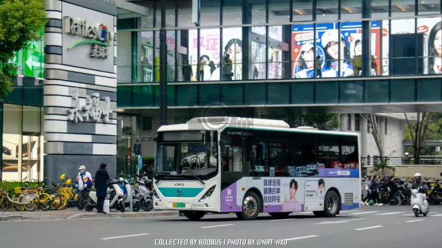 沪A 52198D