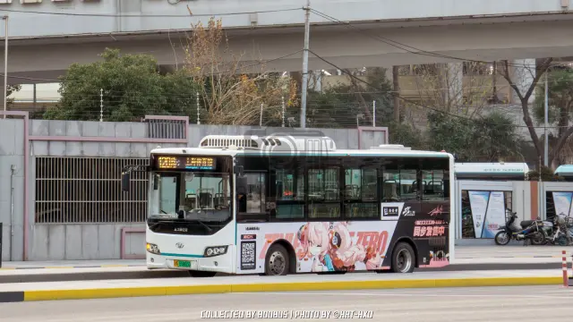 沪A 65865D